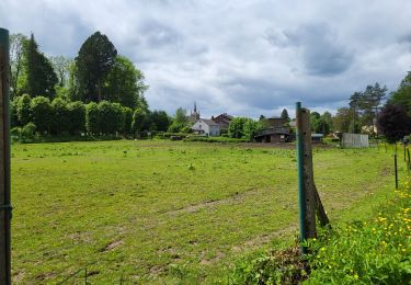 Excursión Senderismo Vresse-sur-Semois - Sugny 280524 - Photo