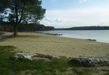 Excursión A pie Iffendic - Lac et landiers de Trémelin - Photo