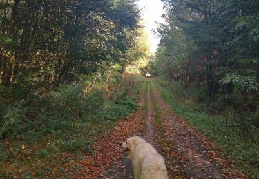 Trail Walking Arques-la-Bataille - hameau de Florence  - Photo