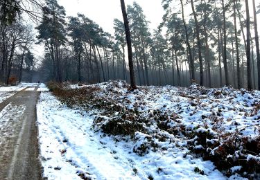 Randonnée A pied Ratingen - Angerland Rundweg A4 - Photo