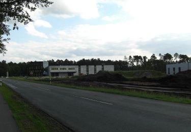 Percorso A piedi Hövelhof - Heimatkundlicher Wanderweg Hövelhofer Wald - Photo