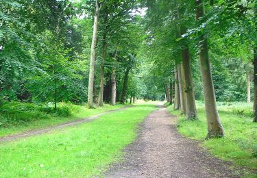 Tocht Te voet  - Cliveden green walking trail - Photo