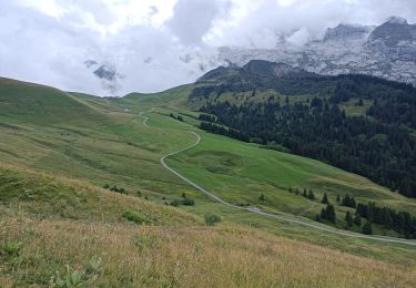 Percorso Marcia Le Grand-Bornand - tour du Lachat - Photo