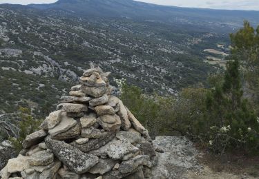 Trail Walking Bédoin - Bedoin les rochers de la Madeleine  - Photo