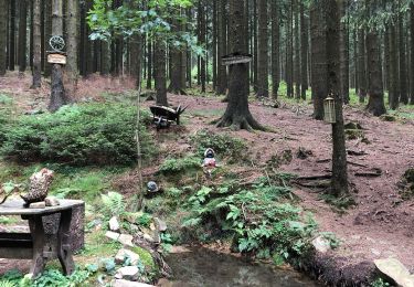 Percorso A piedi Haiger - Rothaarsteig-Spur Dill-Bergtour - Photo