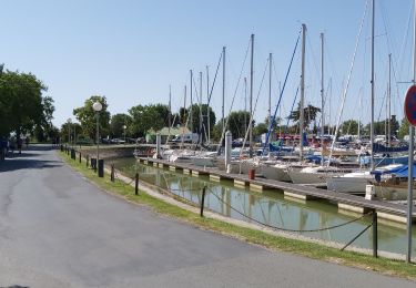 Trail Walking Mortagne-sur-Gironde - Mortagne sur Gironde  - Photo