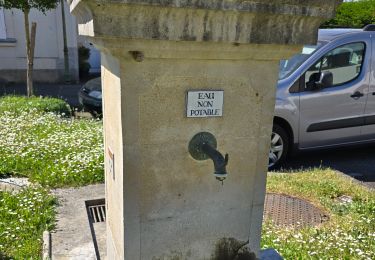 Percorso Marcia Loir en Vallée - Poncé-sur-le-Loir - A travers les collines - Photo