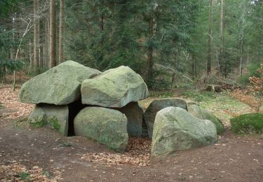 Tocht Te voet Bülstedt - Nordpfad Kempowskis Idylle - Photo