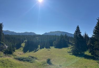 Trail Walking Saint-Agnan-en-Vercors - Grand Veymont face ouest  - Photo