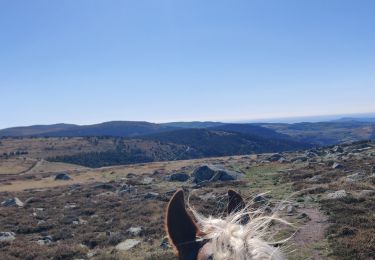Percorso Equitazione Mont Lozère et Goulet - 2022-09-20 Rando CVA Lozere Refuge Mont Lozere vers Mas de la Barque - Photo