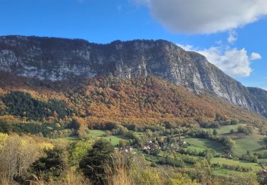 Randonnée Marche Mont-Saint-Martin - 111123 - Photo