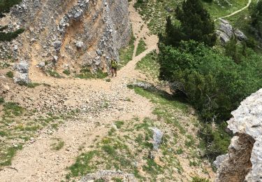 Tocht Stappen Die - Le Pestel  - Photo