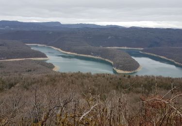 Trail Walking Cernon - Cernon-Viremont - Photo