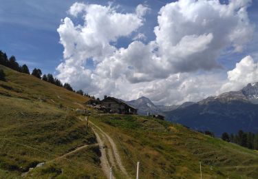 Tocht Stappen Val-Cenis - Montbas - Photo