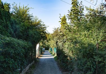 Randonnée A pied Boskovice - Doubravský okruh - Photo