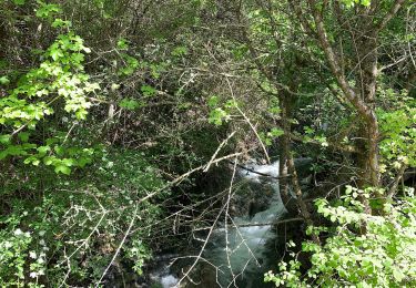 Tocht Te voet Savines-le-Lac - Walk from Savines through exercise park - Photo