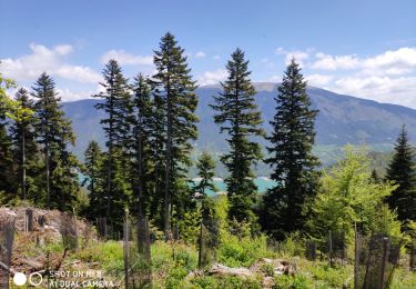 Trail Nordic walking Treffort - sinard - lac de treffort - Photo