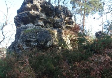 Trail Walking Fontainebleau - croix du grand maître 3mars 2023  - Photo