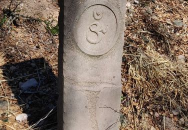 Tour Wandern Le Saulcy - 2019-02-16 Marche Sentier Passeurs Quieux - Photo