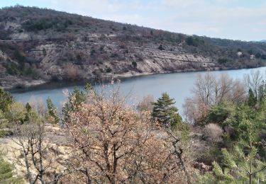 Excursión Senderismo Mane - mane . Le lac de la laye  . - Photo