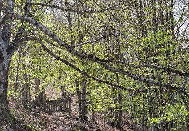 Excursión Senderismo Arrien-en-Bethmale - Les granges de la Serre depuis Tournac-Bouche. - Photo