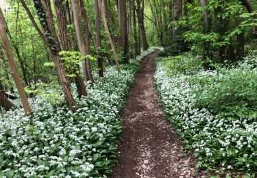 Randonnée Marche Chaudfontaine - Beaufay-Embourg-Tilf 11km - Photo