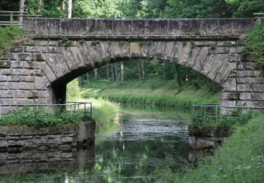 Tour Zu Fuß Forst Kleinschwarzenlohe - Historischer Lehrpfad - Photo