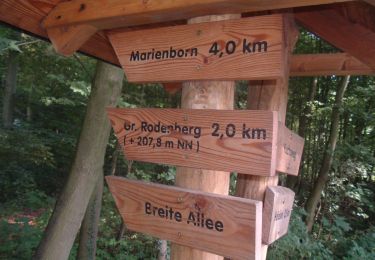 Excursión A pie Sommersdorf - Lappwald Rundwanderweg 28 - Photo