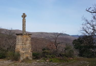 Randonnée Marche nordique Octon - Octon Dolmens de Toucou - Photo