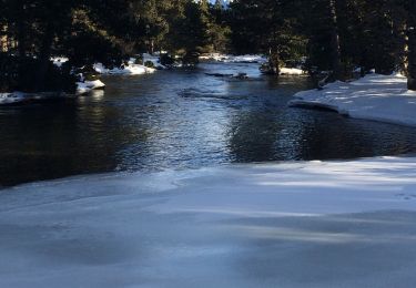 Randonnée Raquettes à neige La Llagonne - Le long du têt  - Photo