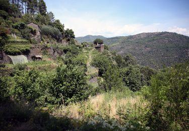 Percorso A piedi Saint-Germain-de-Calberte - Sentier des Rocs de Galta - Photo