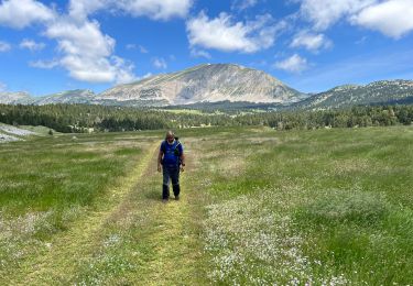 Tocht Stappen Saint-Agnan-en-Vercors - Grand Veymont- Vercors - Photo