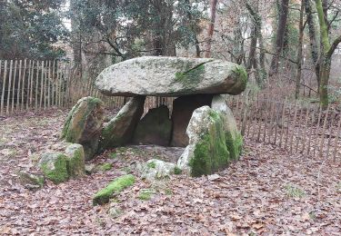 Trail Walking Saint-Philibert - PR_56_St-Philibert_CA_03_Landes-Et-Dolmens_Circuit1b_20221227 - Photo