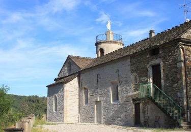 Percorso A piedi Le Collet-de-Dèze - PR Sentier de Molières - Photo