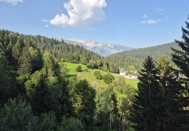 Trail Walking Laax - Senda Dil Dragun - Photo