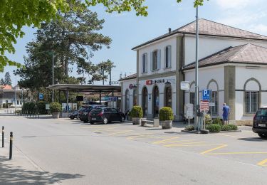 Excursión A pie Murten - Murten/Station - Oberburg - Photo