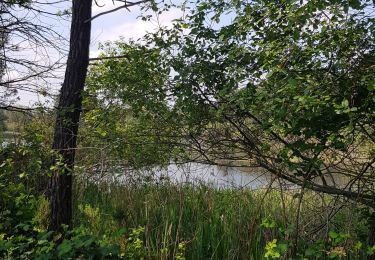 Tour Wandern Le Teich - FONTAINE ST JEAN    LE TEICH 33 - Photo