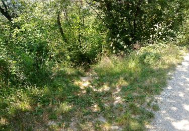 Trail On foot Bovezzo - Concesio (Sant'Andrea) - Sant'Onofrio - Photo