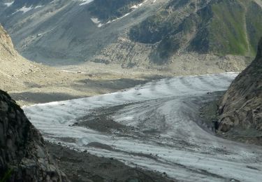 Trail On foot Chamonix-Mont-Blanc - Plan de I'Aiguille - Montenvers - Photo