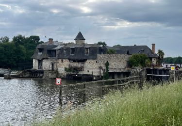 Randonnée Marche Longuenée-en-Anjou - Pruillé - Photo