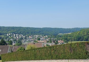 Tour Wandern Montville - 20230601 Montville - Photo