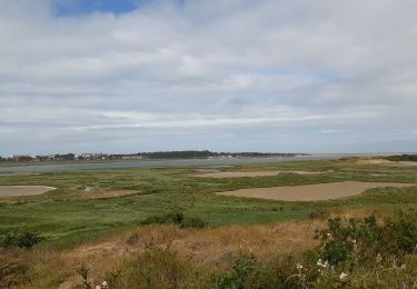 Tocht Stappen Étaples - Baie de la Canche - Photo