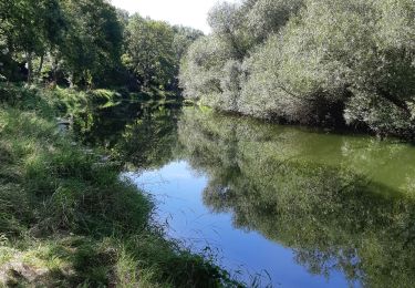 Percorso Corsa a piedi Varangéville - solvay arriere - Photo