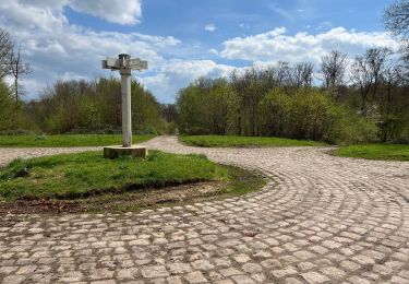 Trail Walking Ormoy-le-Davien - Boucle départ Ormoy le Davien 60620 - Foret de Retz - Photo