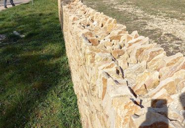 Trail Walking Meursault - Meursault le sentier des buis page 121 - Photo