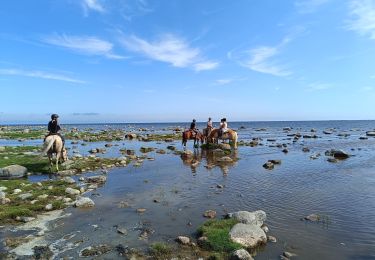 Randonnée V.T.C.  - Änggårde-Hemse-Gotland-Sverige - Photo