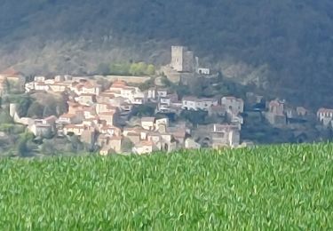 Tour Wandern Clémensat - CLEMENSAT - Photo