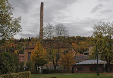 Tour Zu Fuß Löchgau - Blauer Punkt Löchgau - Bietigheim - Photo