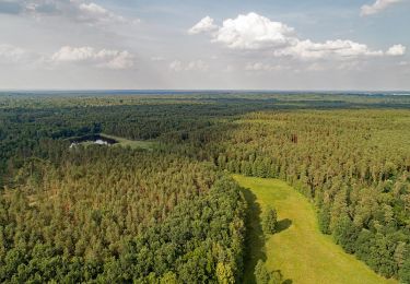 Tour Zu Fuß Laußnitz - Biberpfad - Photo