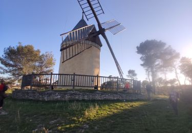 Trail Walking Langlade - Langlade - Voie-verte Fontaine - Photo